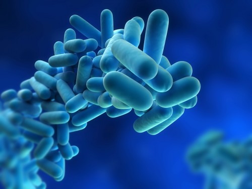 Legionella Risk Assessment - Aqua Legion - Aqua Legion London, UK